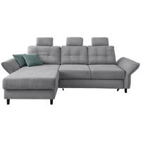 ECKSOFA Silberfarben Chenille Zierkissen, Bettkasten, Schlaffunktion, Armteilverstellung, Sitztiefenverstellung, Kopfstütze, Liegefläche im Originalstoff  - Mintgrau/Silberfarben, MODERN, Holz/Textil (176/250-280cm) - Livetastic