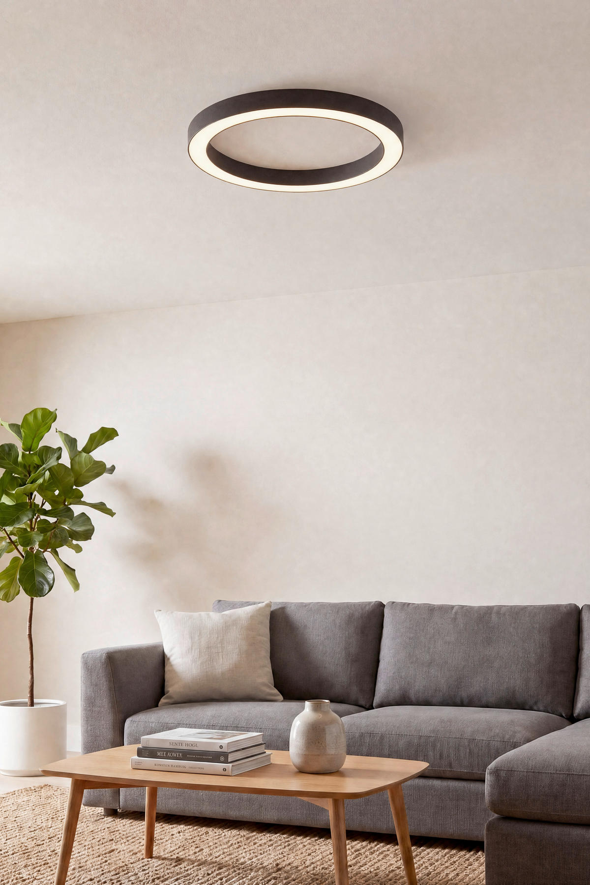 LED PLAFONJERA Pure Lines  - antracit, Dizajnerski, metal/plastika (50/3.9/4cm) - Neuhaus PURE