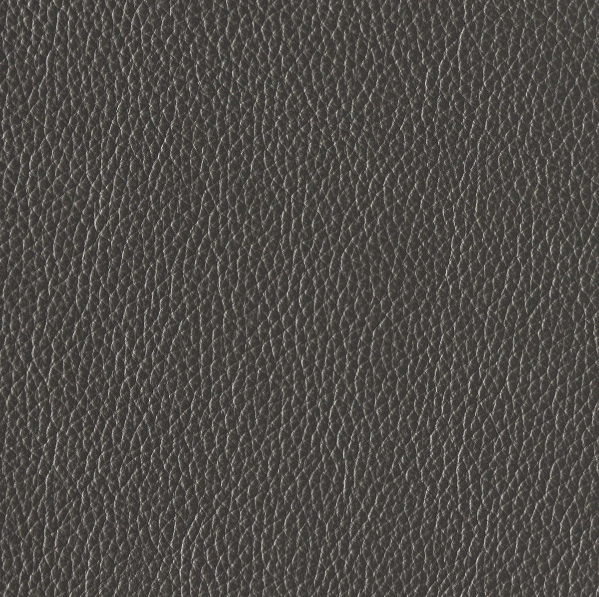 SCHLAFSOFA Bard Grau Echtleder  - Hellgrau/Schwarz, KONVENTIONELL, Leder/Kunststoff (206/81/96cm) - Novel