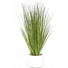 DEKOGRAS - Grün, Basics, Kunststoff (30cm) - Ambia Home DEKOGRAS - Grün, Basics, Kunststoff (30cm) - Ambia Home