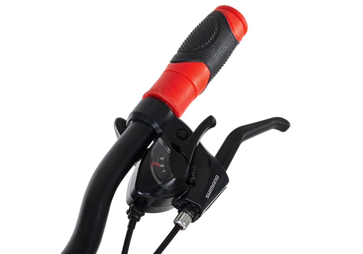 MOUNTAINBIKE 29 Zoll  - Rot/Schwarz, Basics, Metall (139/76/21cm) - Atrigo