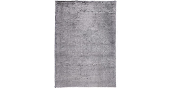 HOCHFLORTEPPICH 160/230 cm Tenei  - Silberfarben, Design, Textil (160/230cm) - Novel