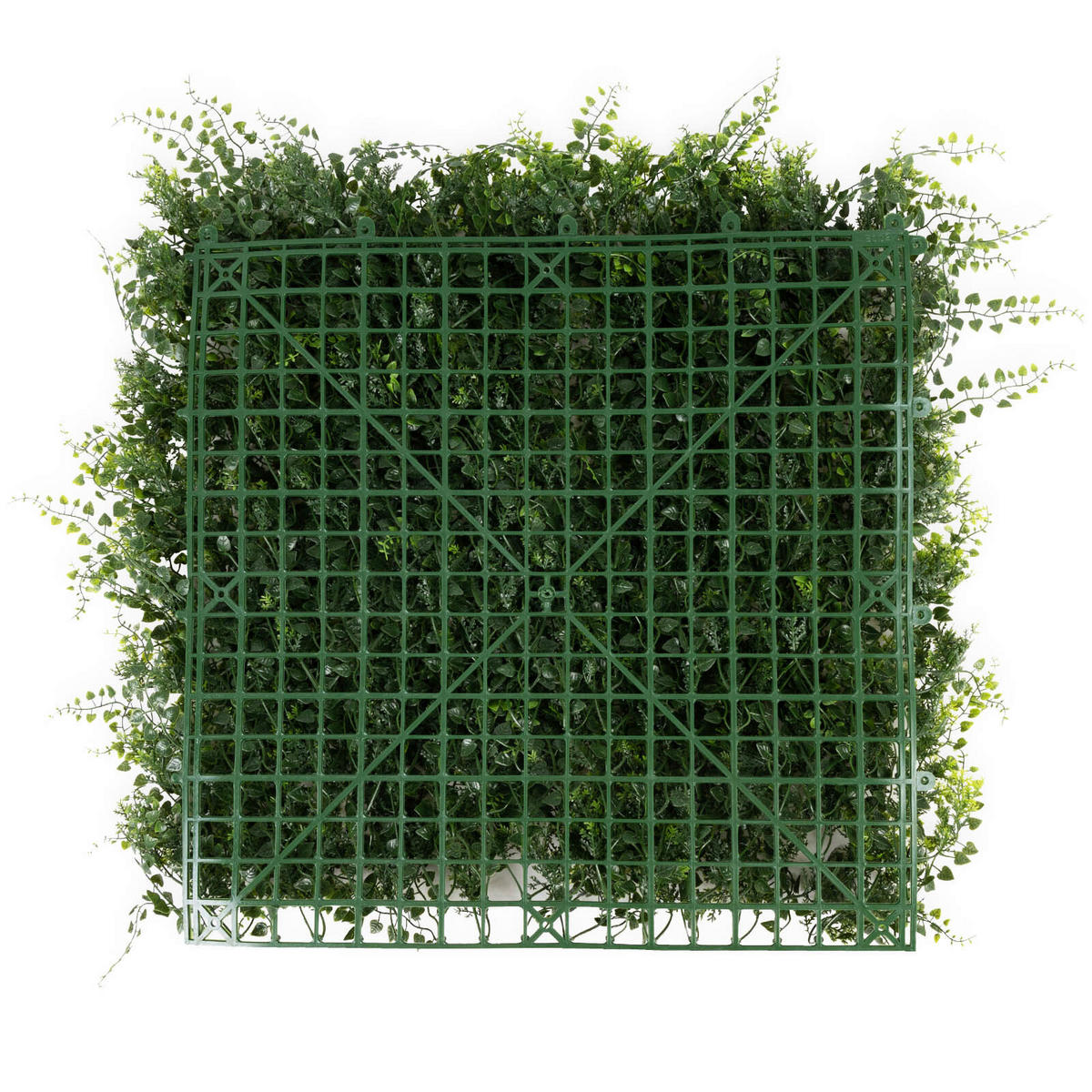 WANDVERKLEIDUNG  - Dunkelgrün/Jadegrün, Trend, Kunststoff (50/50cm) - Floordirekt