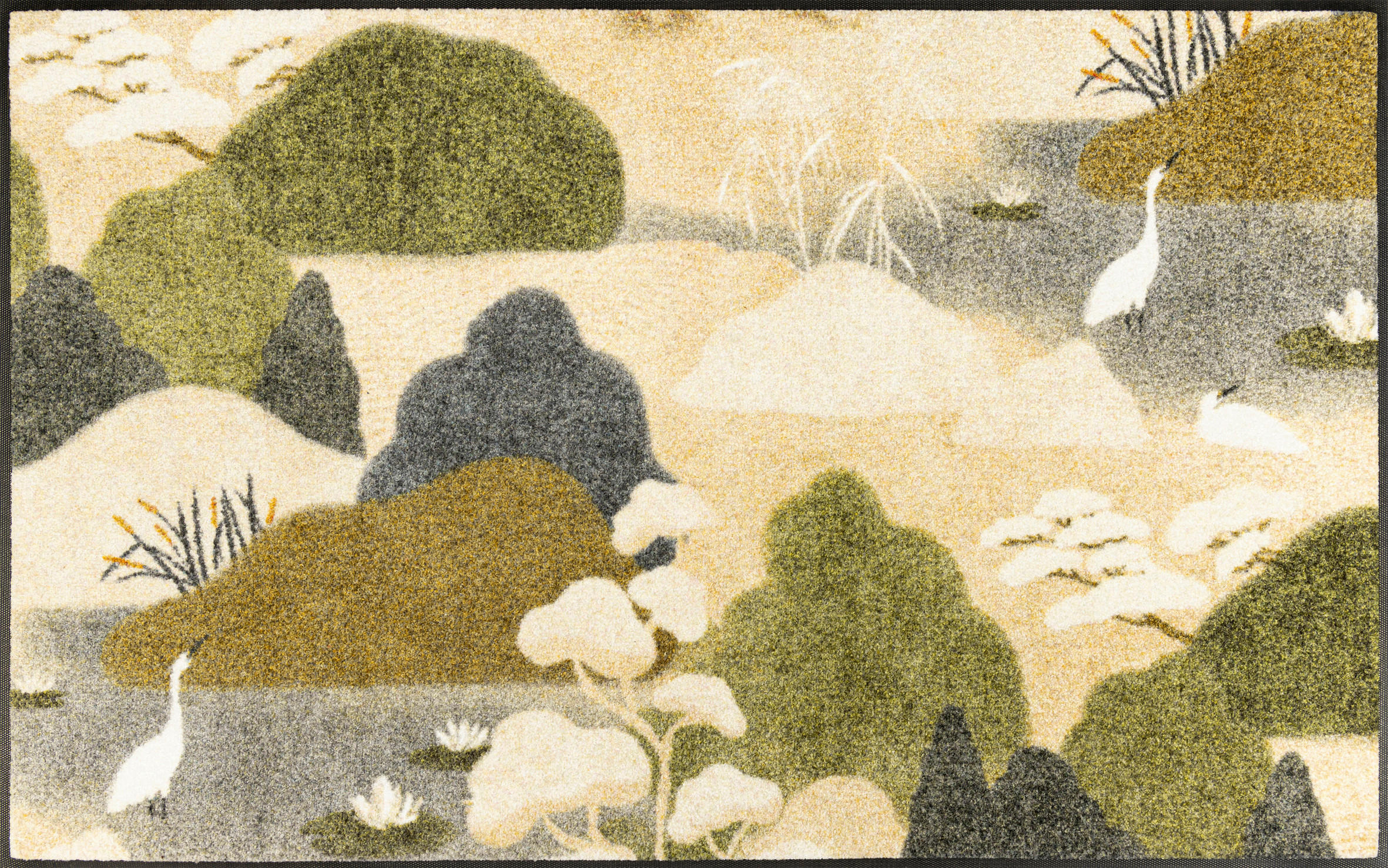 Covoraș De Intrare 75/120 cm