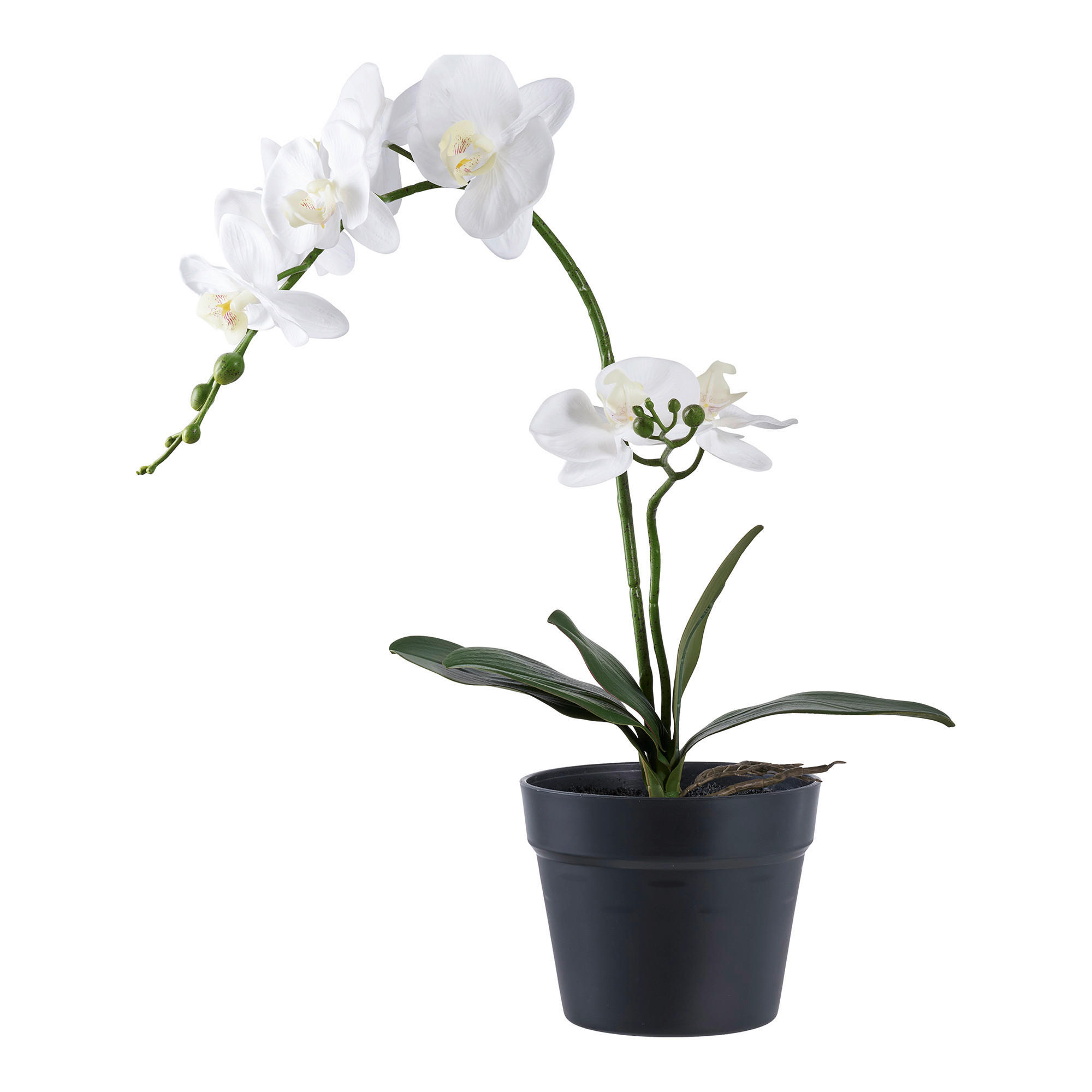 KUNSTPFLANZE Orchidee  - Weiß, Design (21/47/34cm)