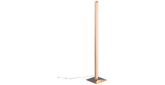 LED-STEHLEUCHTE 22/115 cm - Eichefarben, LIFESTYLE, Holz/Kunststoff (22/115cm) - Novel