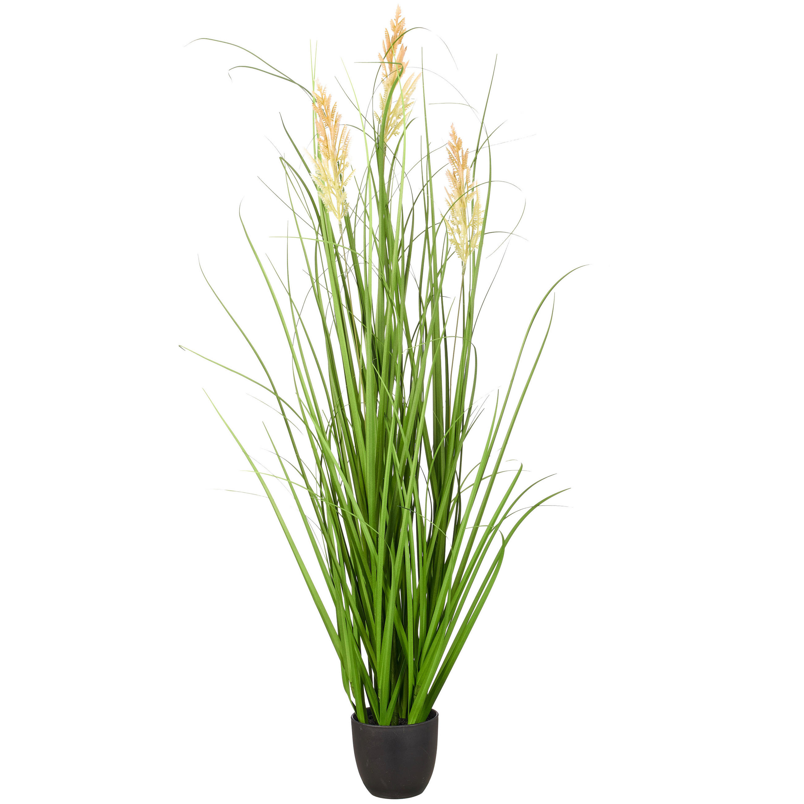 KUNSTPFLANZE Federgras 100 cm  - Creme/Schwarz, Basics, Kunststoff (100cm)