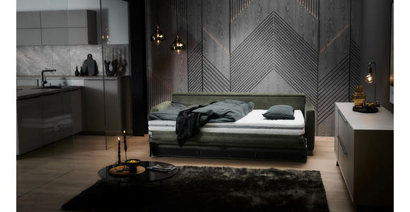 SCHLAFSOFA  in Flachgewebe Dunkelgrün  - Dunkelgrün/Schwarz, KONVENTIONELL, Textil/Metall (232/77/116cm) - Dieter Knoll