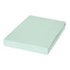 SPANNBETTTUCH Jersey  - Mintgrün, Basics, Textil (100/200cm) - Janine