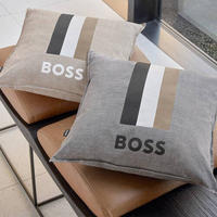 ZIERKISSEN    - Design (45/45cm) - Hugo Boss