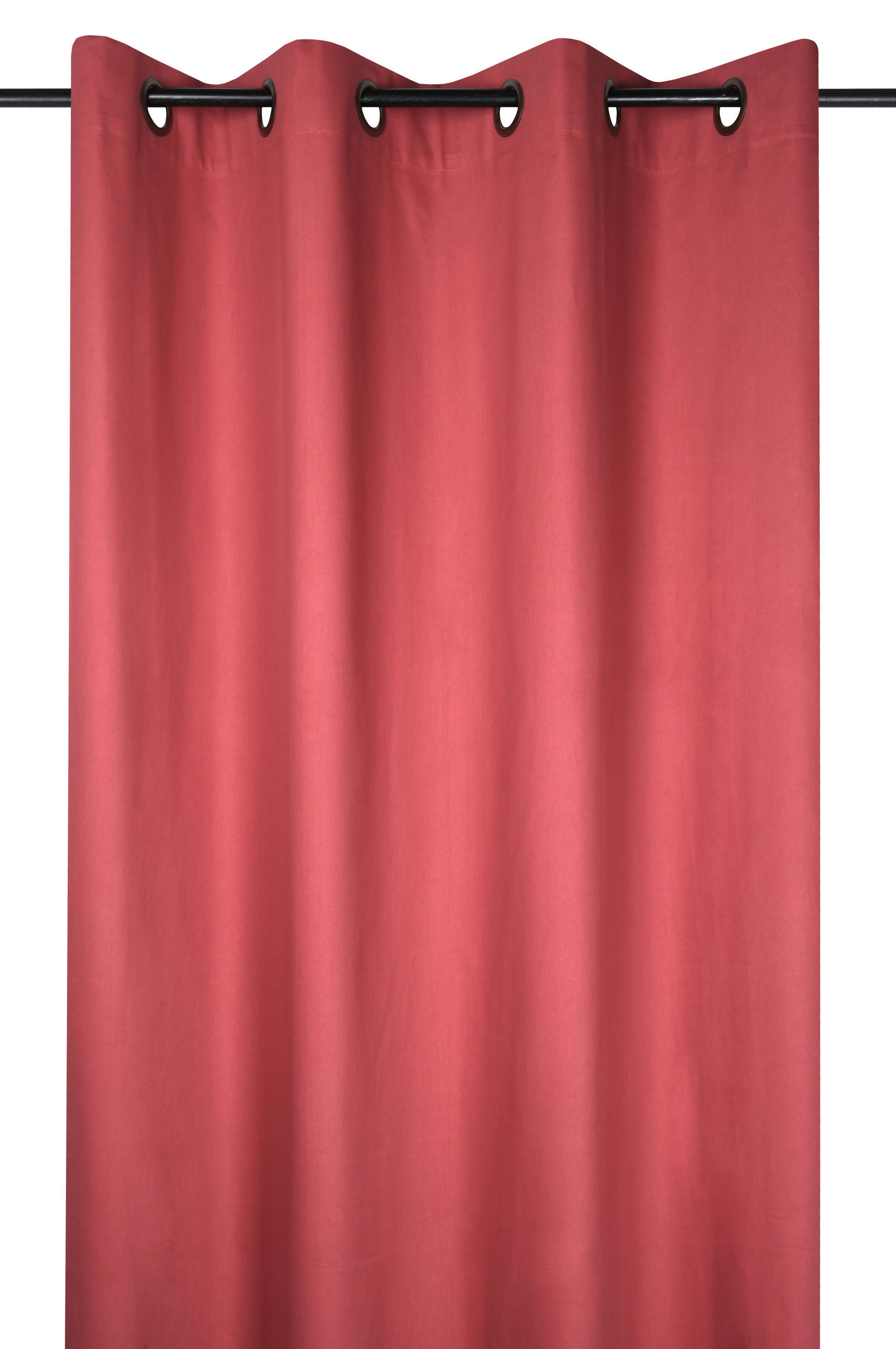 ZAVJESA S RINGOVIMA ružičasta 140/260 cm   - ružičasta, Basics, tekstil (140/260cm)