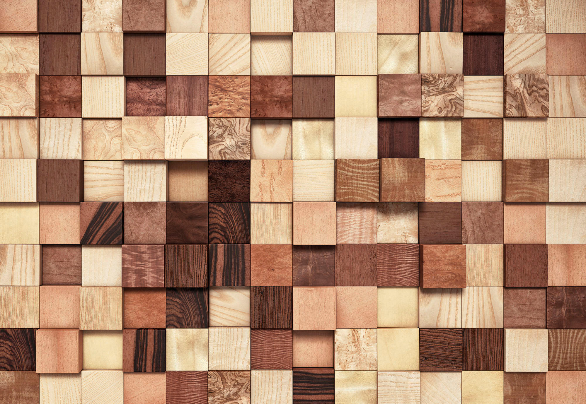 FOTOTAPETE Lumbercheck  - Braun/Naturfarben, KONVENTIONELL, Papier (368/254cm) - Komar