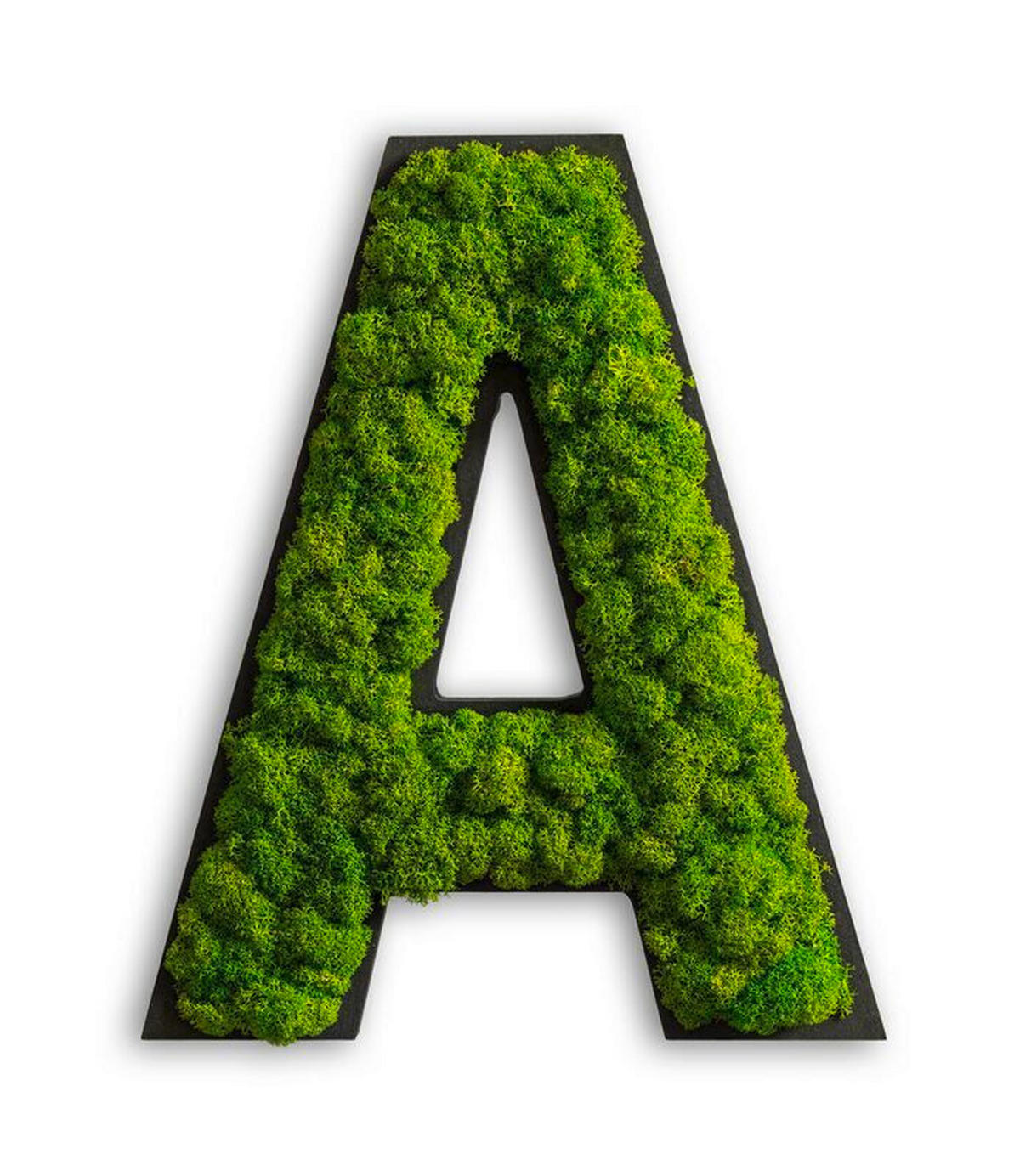 MOOSBILD Stylegreen  - Schwarz/Grün, Basics, Naturmaterialien/Holz (26/21/4cm)