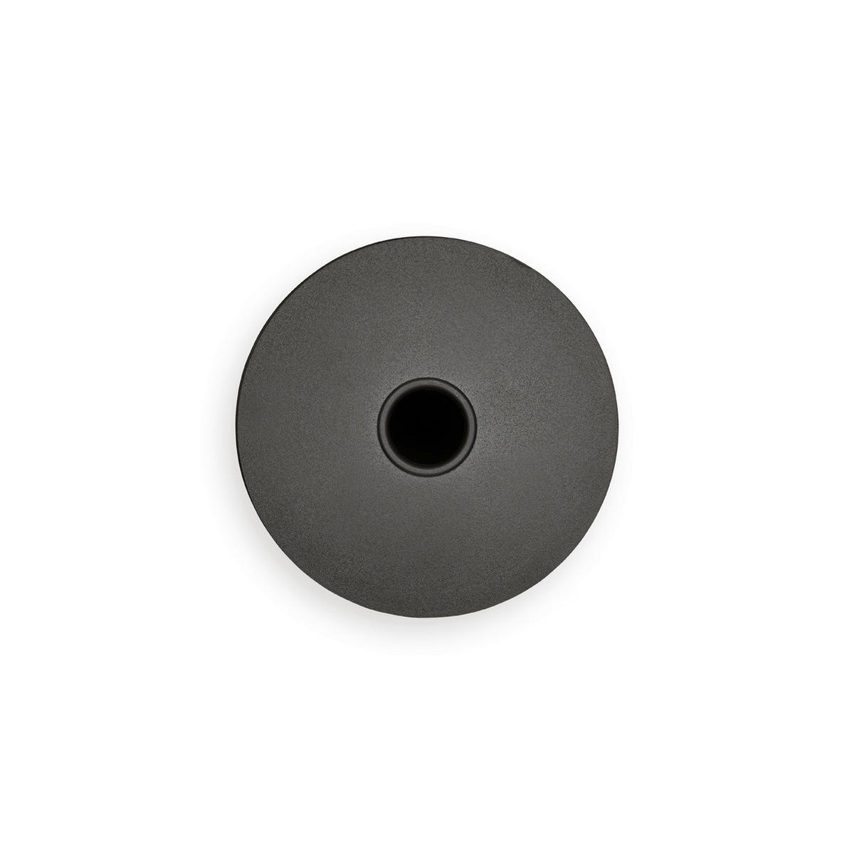 DRŽALO ZA TOALETNI PAPIR - siva, Basics, kovina (13.7/28.9cm) - Brabantia