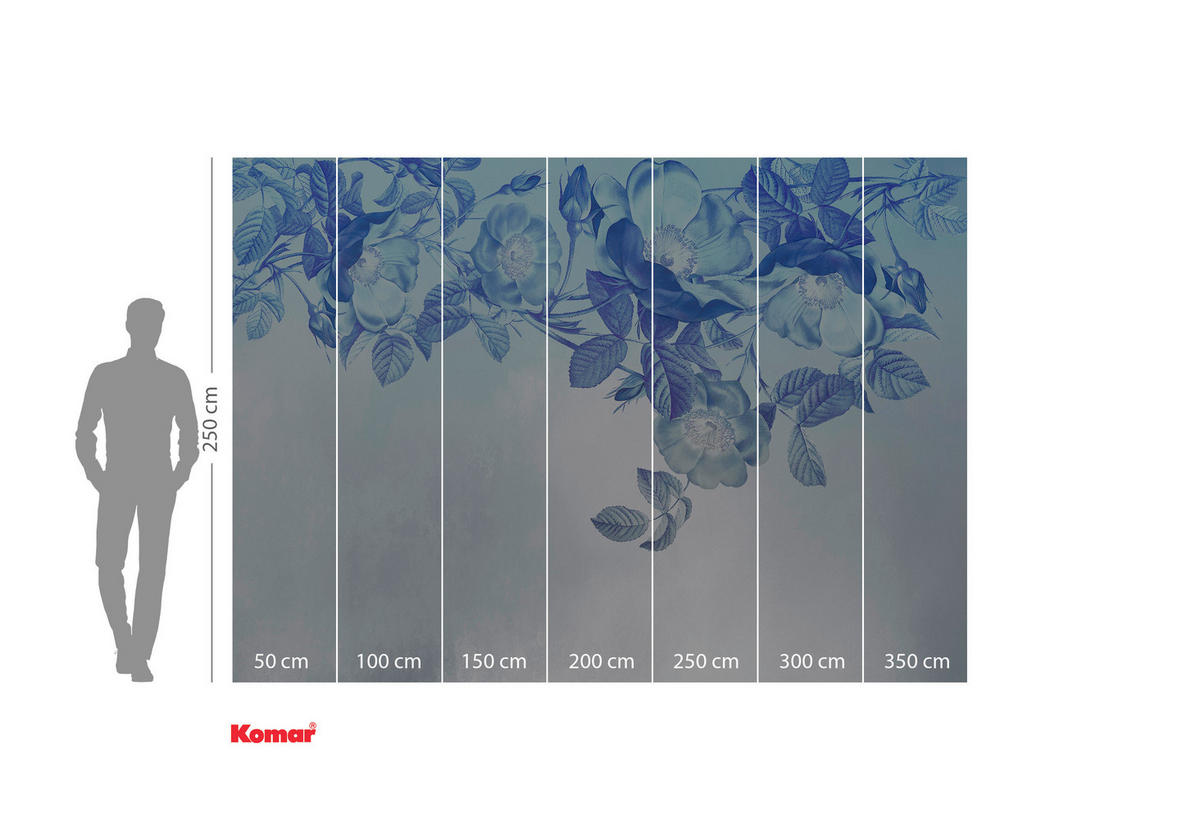 VLIESTAPETE  - Blau/Weiß, Basics (350/250cm) - Xora
