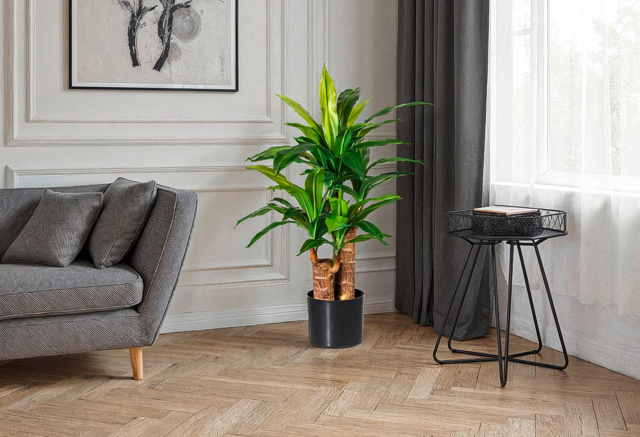 KUNSTPFLANZE Drachenbaum 80 cm  - Schwarz/Braun, Design, Kunststoff (80cm) - P & B