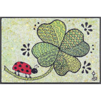 COVORAȘ DE INTRARE 40/60 cm  - multicolor, Konventionell, plastic/textil (40/60cm) - wash+dry