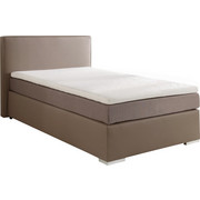 POSTEL BOXSPRING, 120 cm x 200 cm, textilie, jílová barva - barvy hliníku/jílová barva, Konvenční, textilie/umělá hmota (120/200cm) - Esposa