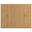 DREHTÜRENSCHRANK 251/197/60 cm 5-türig Eichefarben  - Eichefarben/Silberfarben, Design, Holzwerkstoff/Kunststoff (251/197/60cm) - Novel