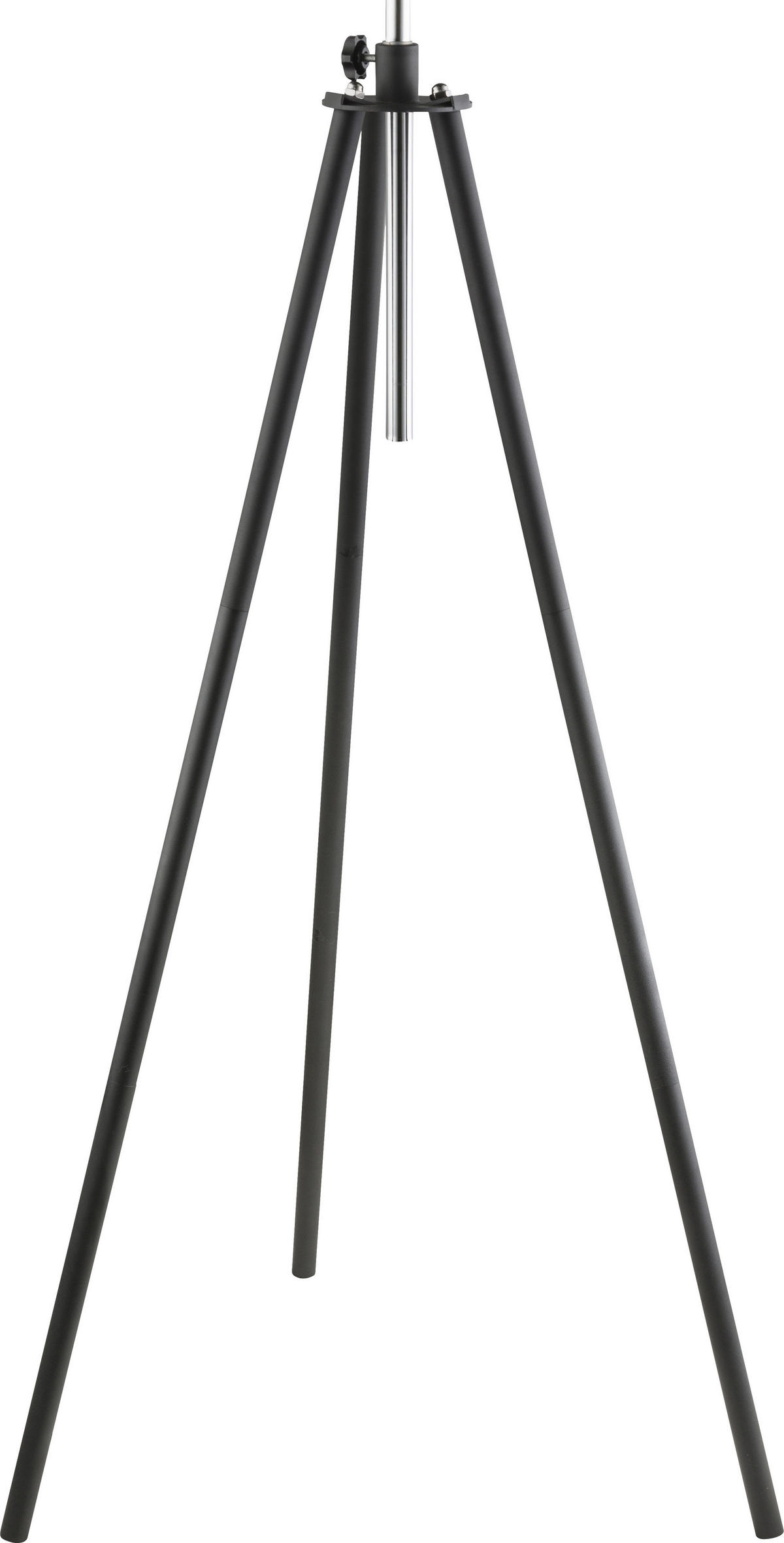 Stehleuchte - Goldfarben/Schwarz, Trend, Metall (69/179cm)