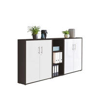 AKTENSCHRANK Anthrazit, Weiß  - Anthrazit/Weiß, MODERN, Holzwerkstoff (212,9/113,6/33cm) - MID.YOU