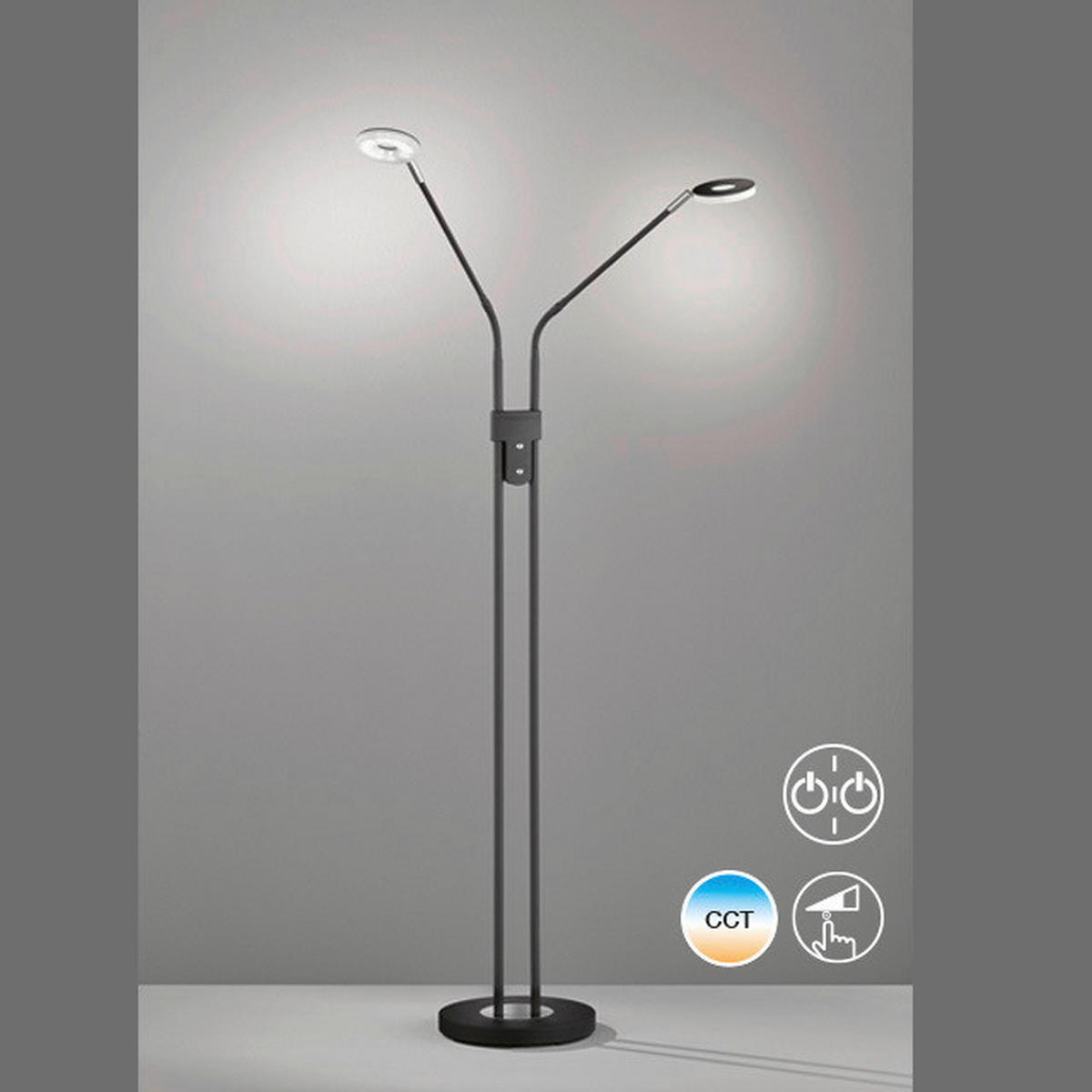 LED-STEHLEUCHTE - Schwarz, Basics, Metall (25/150cm) - Fischer & Honsel