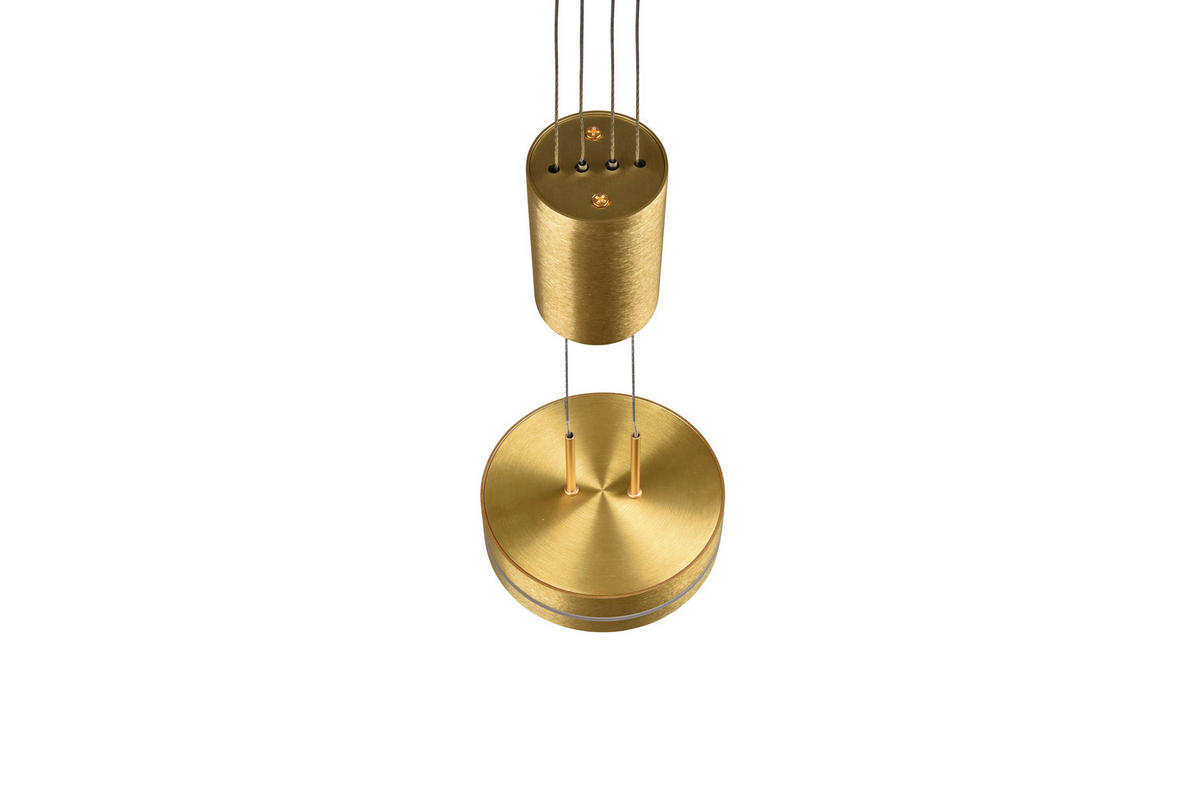 LED-HÄNGELEUCHTE 14/150 cm    - Messingfarben, Basics, Metall (14/150cm) - Trio Leuchten