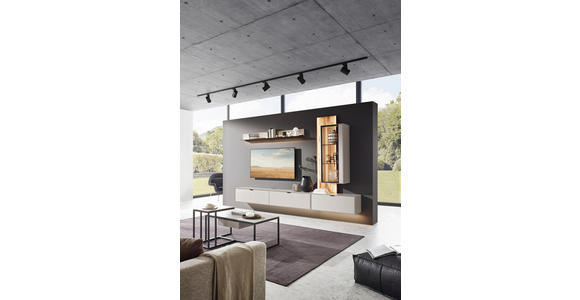 WOHNWAND  in Grau, Wildeiche  303,8/220,3/37,1 cm  - Wildeiche/Schwarz, Design, Glas/Holz (303,8/220,3/37,1cm) - Dieter Knoll