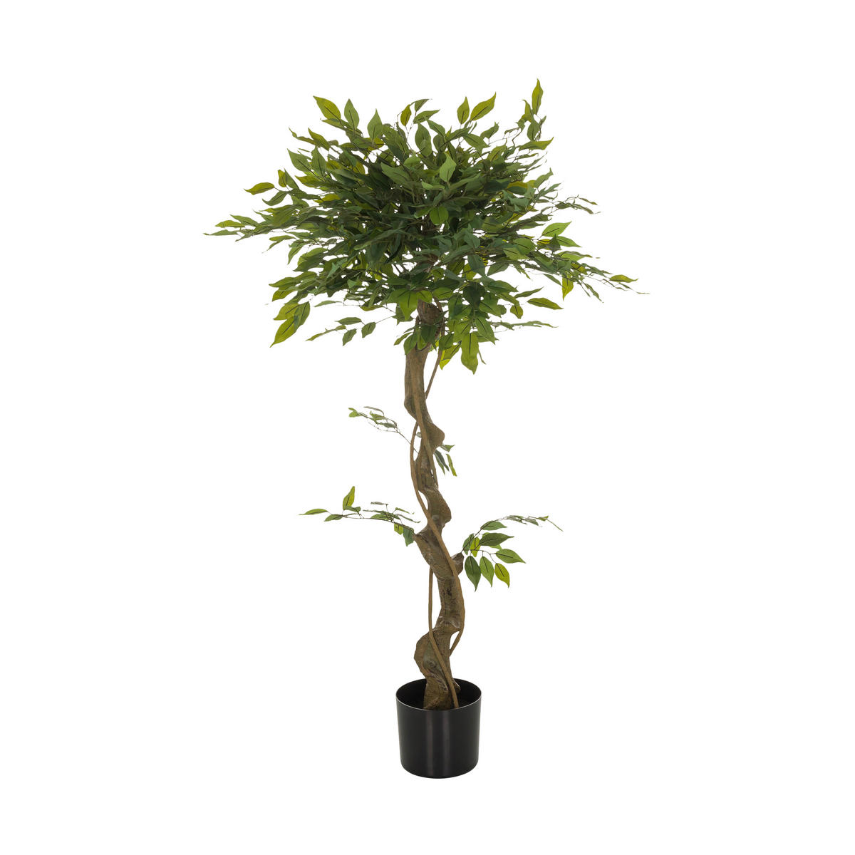 KUNSTPFLANZE Ficus Benjamina  - Schwarz/Braun, Basics, Kunststoff (70/120/70cm) - MID.YOU