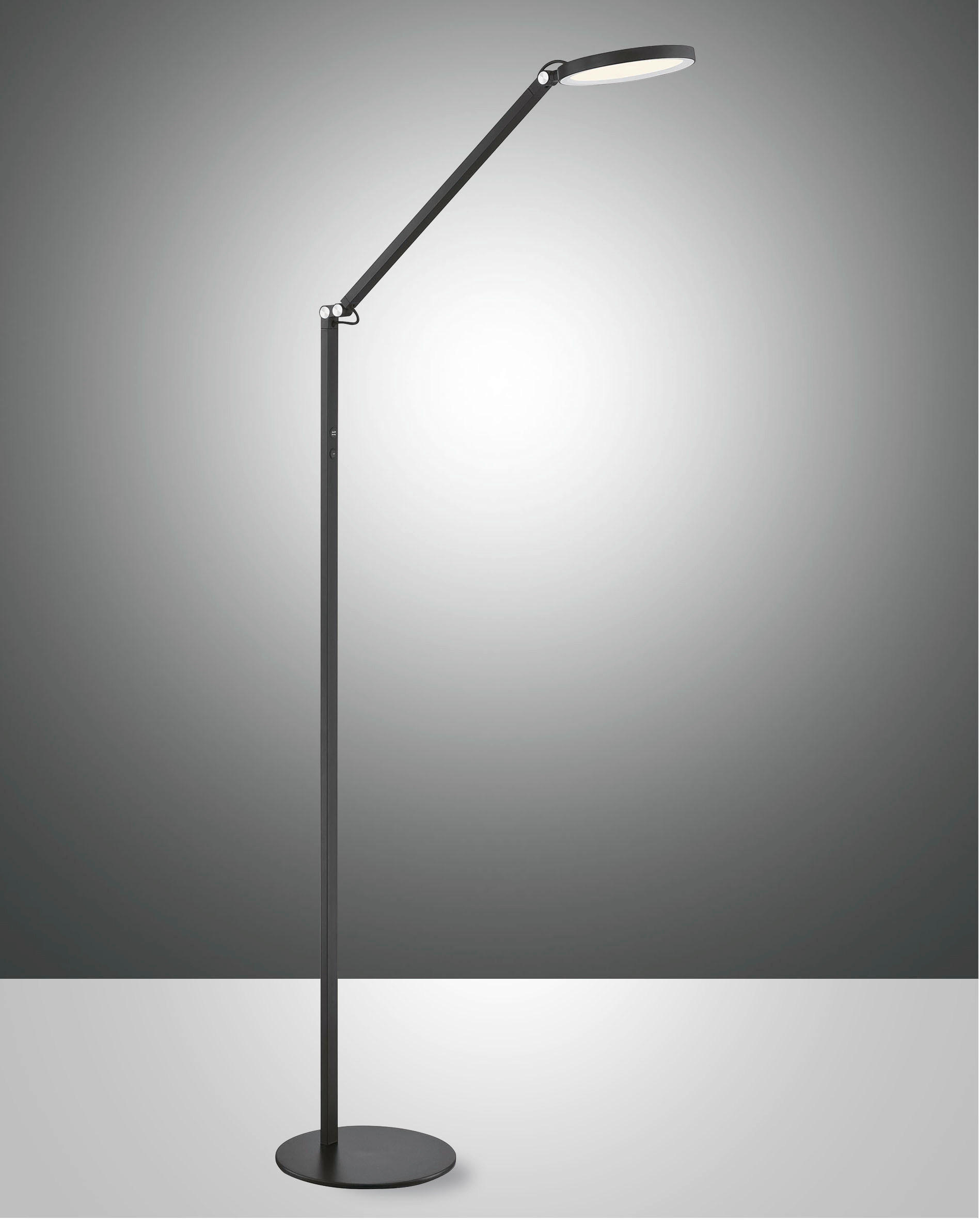 LED-STEHLEUCHTE 60/22/160 cm    - Schwarz, Design, Kunststoff/Metall (60/22/160cm)