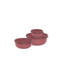 VORRATSDOSENSET 3-teilig  - Rostfarben/Bordeaux, KONVENTIONELL, Kunststoff (19,6/19,4/8,3cm) - Mepal
