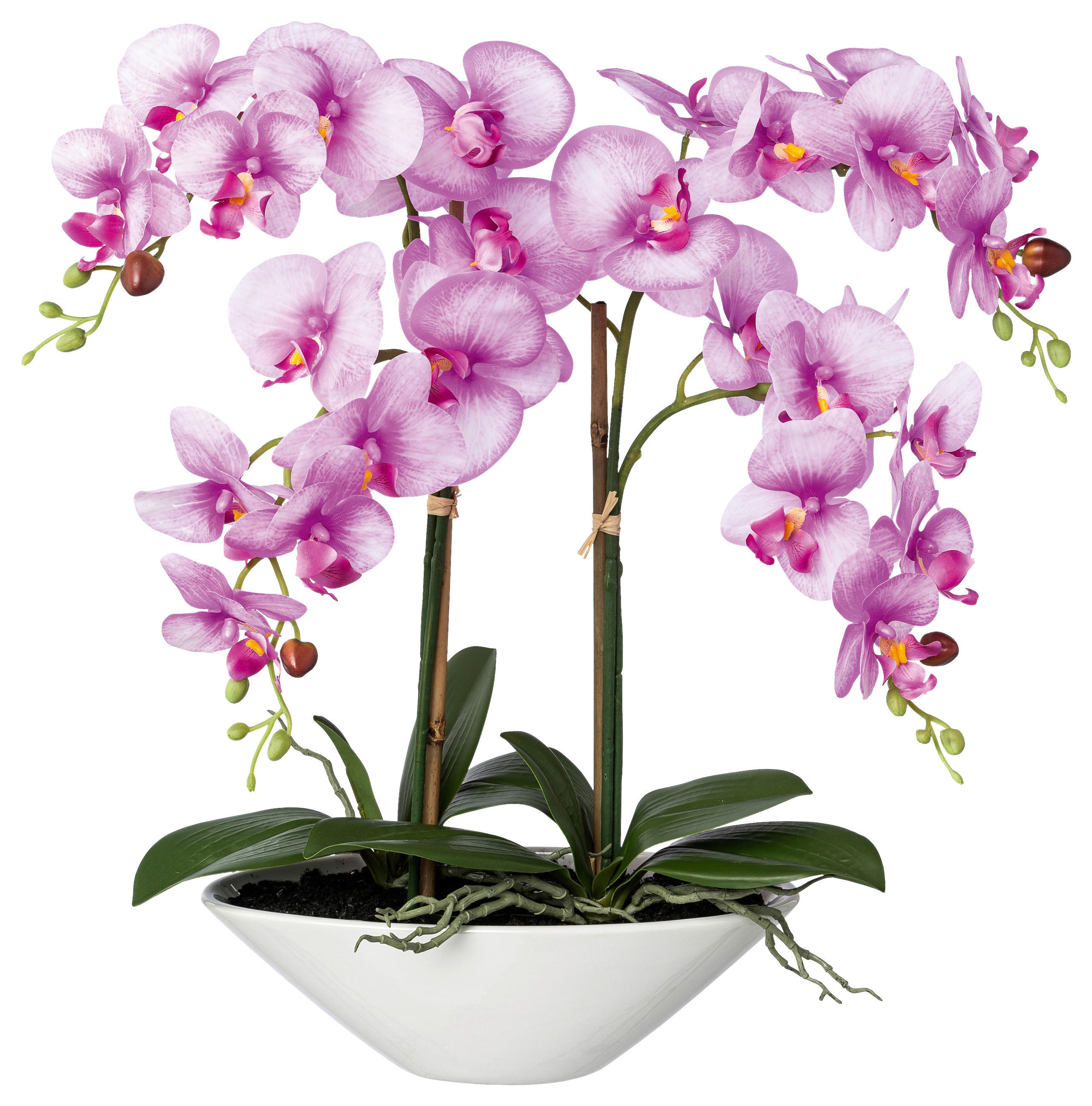 KUNSTPFLANZE Orchidee 53 cm  - Lila/Weiß, Design, Keramik/Kunststoff (53cm) - P & B