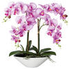 KUNSTPFLANZE Orchidee 53 cm  - Lila/Weiß, Design, Keramik/Kunststoff (53cm) - P & B