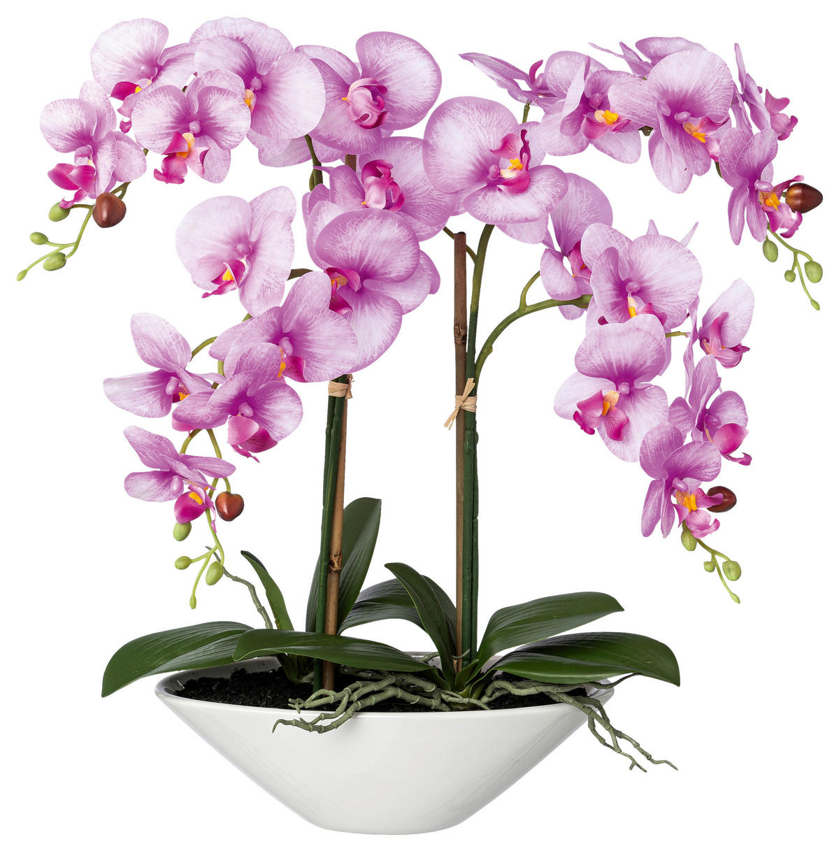 KUNSTPFLANZE Orchidee 53 cm  - Lila/Weiß, Design, Keramik/Kunststoff (53cm) - P & B