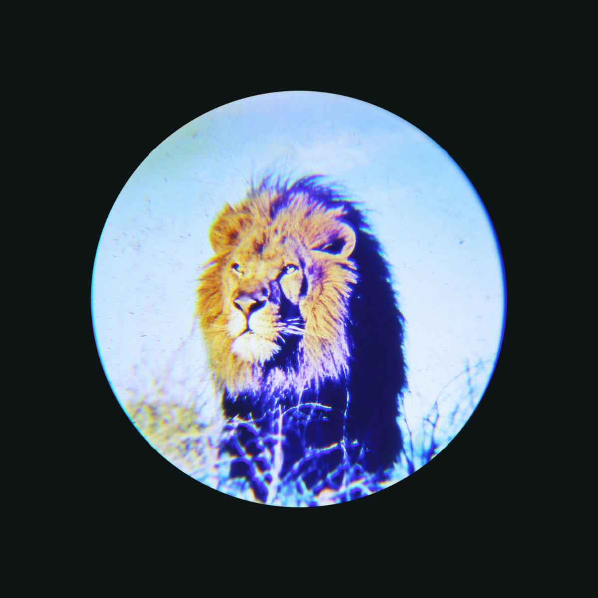 LED-DEKOLEUCHTE 9,5/7/18,5 cm   - Blau/Rot, Trend, Kunststoff (9,5/7/18,5cm) - Globo