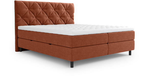 BOXBETT 180/200 cm  in Terracotta  - Terracotta/Schwarz, Design, Holz/Holzwerkstoff (180/200cm) - Esposa