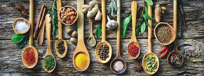 Keilrahmenbild 30/80 cm