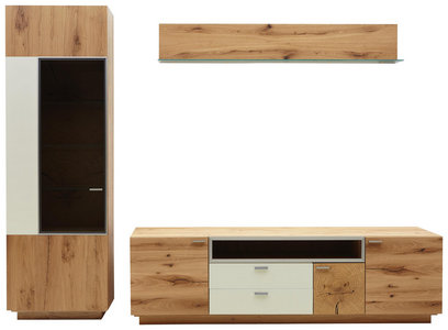 Wohnwand 3 Teilig Mit Eichenholz Furniert Kaufen
