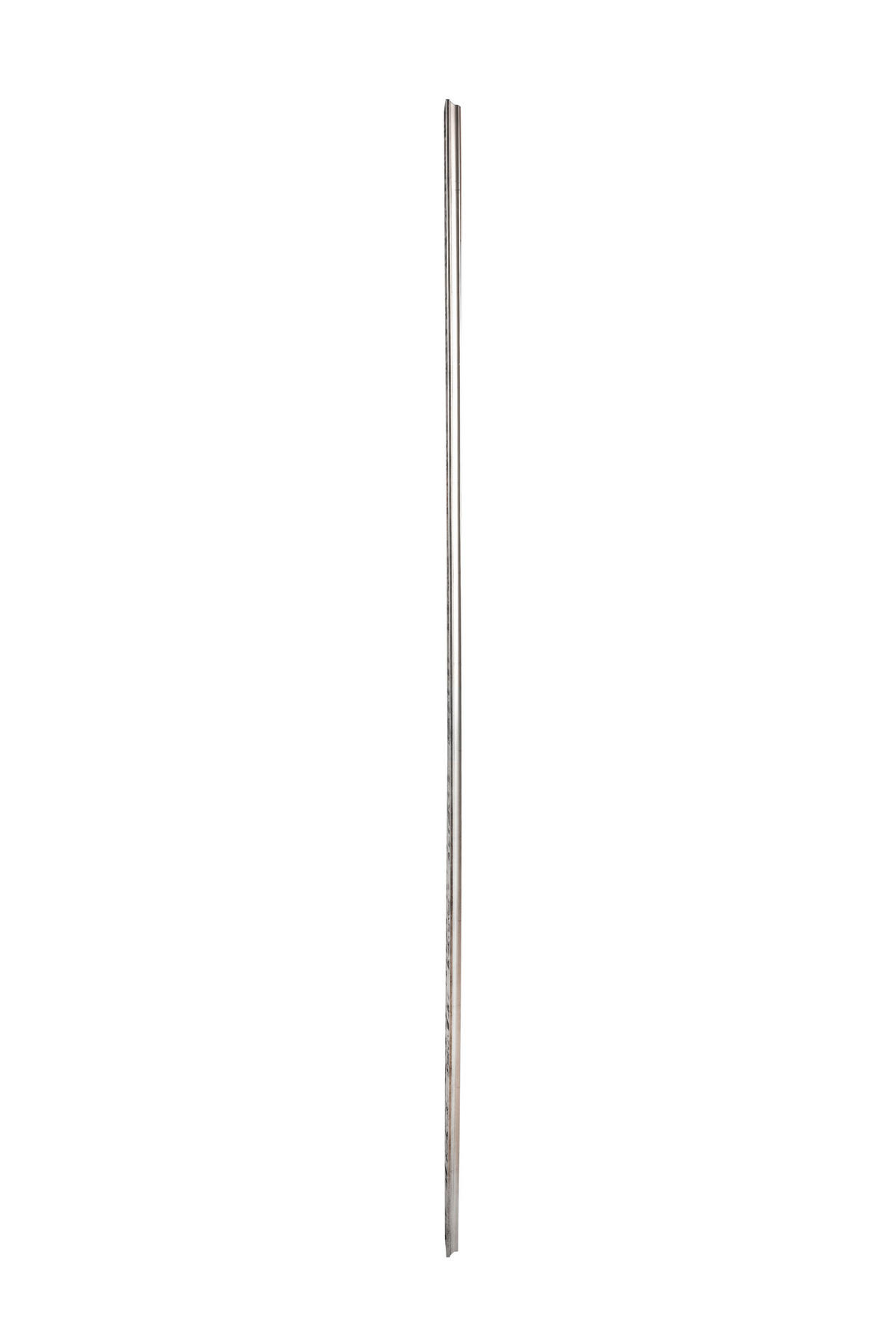 NÁSTENNÉ ZRKADLO  - strieborná, Modern, plast/sklo (90/190/3cm) - Xora