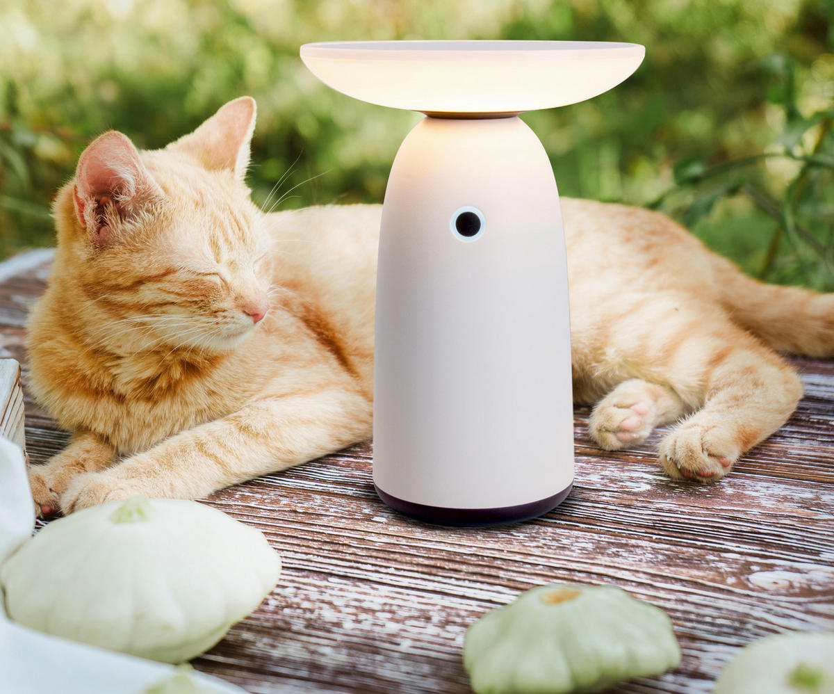 SOLARLEUCHTE 16/22,5 cm   - Schwarz, Design, Kunststoff/Metall (16/22,5cm) - Näve