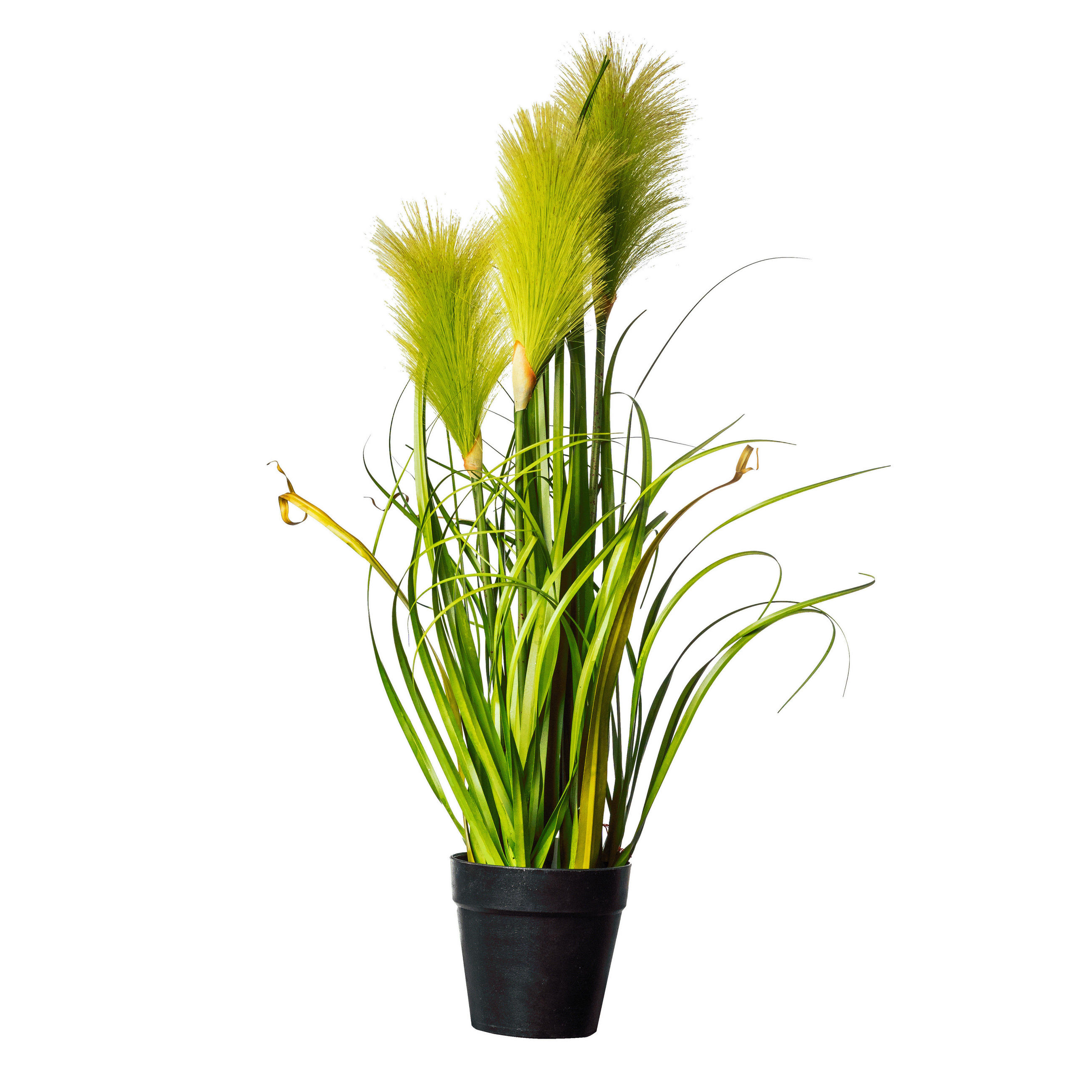 SVAZEK TRÁVY, 55 cm - černá/zelená, Basics, textil/plast (55cm)