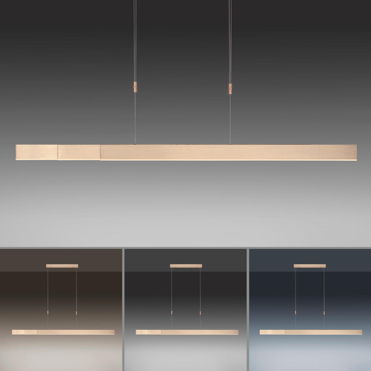 LAMPĂ SUSPENDATĂ CU LED 110-200/5,5/110-200 cm  - Design, plastic/metal (110-200/5,5/110-200cm)