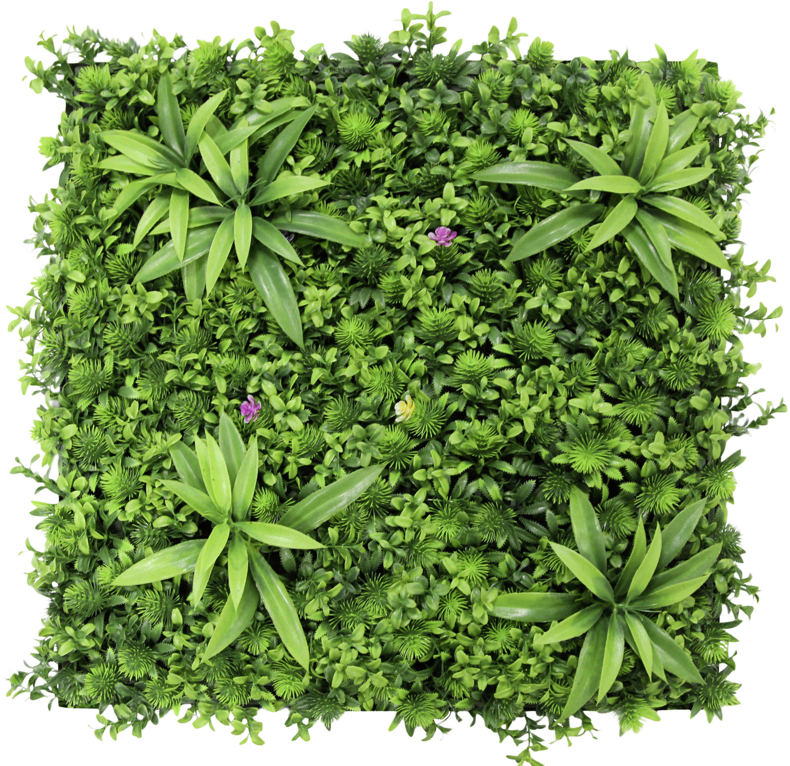 AKUSTIKPANEEL Modular Wall System Design Flora 52/52/4 cm  - Hellgrün, KONVENTIONELL, Kunststoff (52/52/4cm) - Jangal