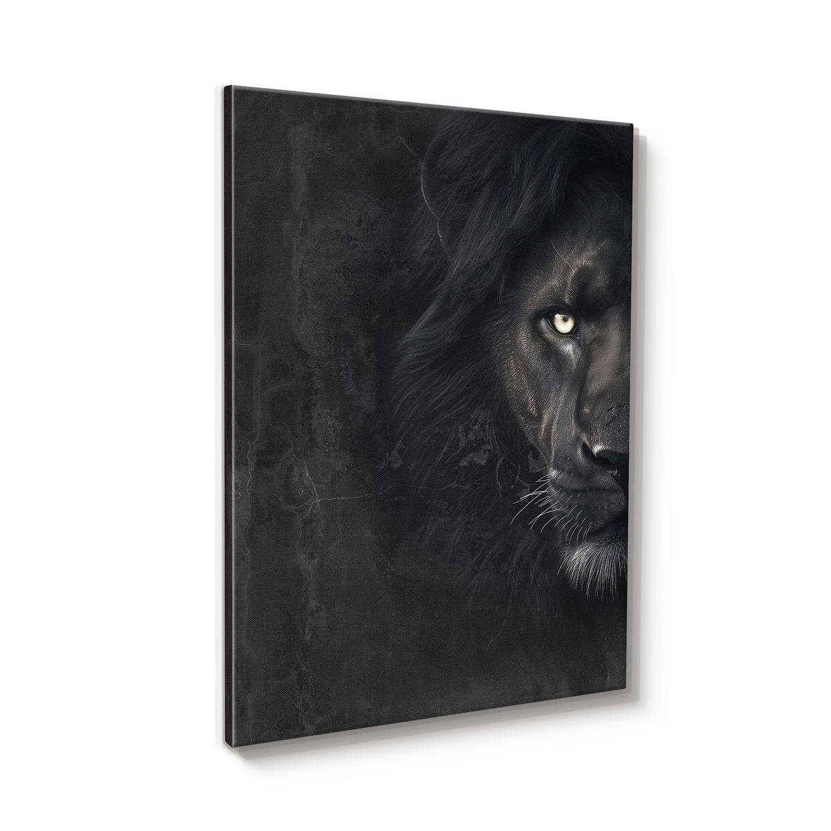 LEINWANDBILD Tiere 60/80 cm  - Multicolor/Schwarz, Basics, Holz/Textil (60/80cm)