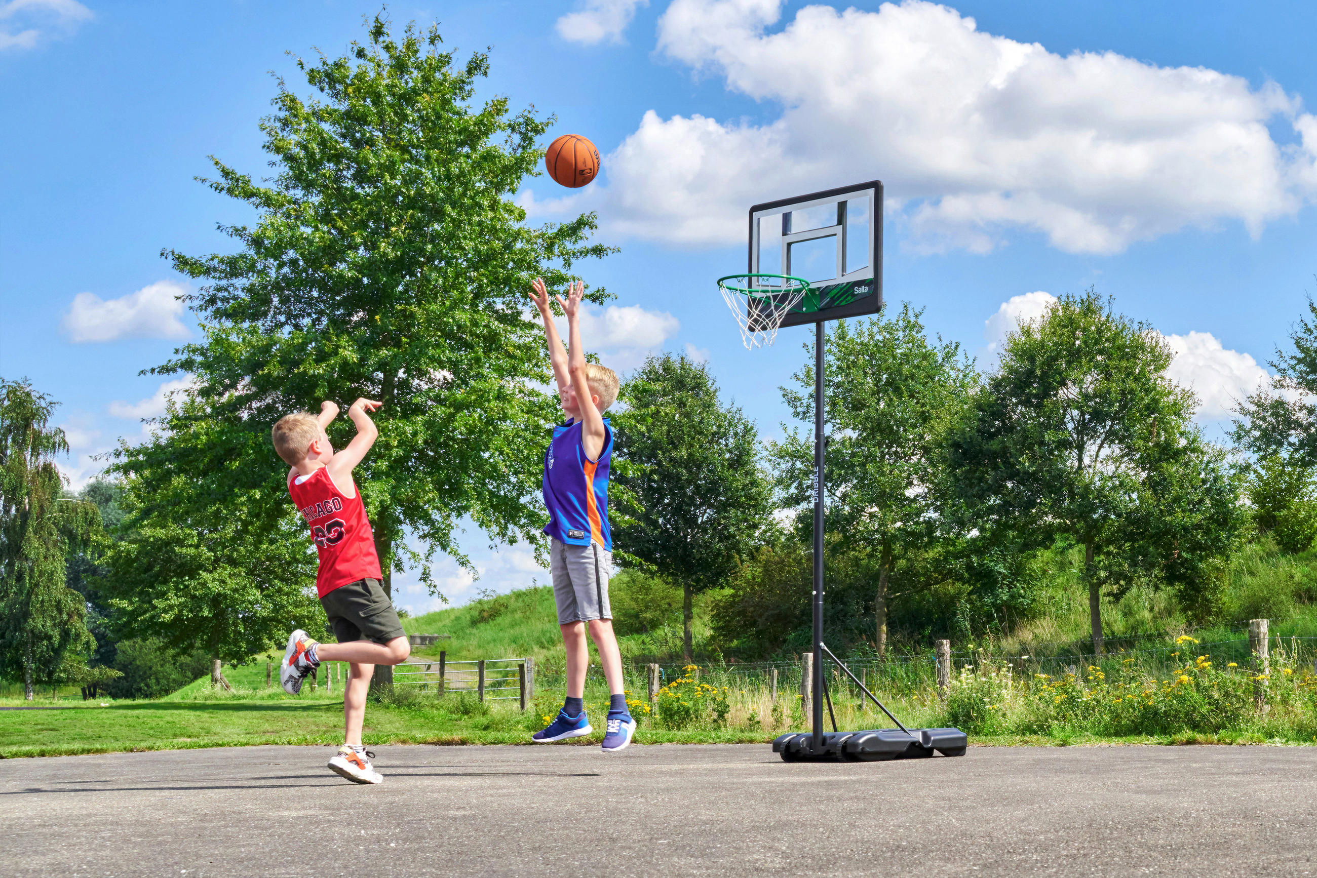 BASKETBALLSTÄNDER - Schwarz/Grün, KONVENTIONELL, Metall (83/204-254/130cm) - Salta