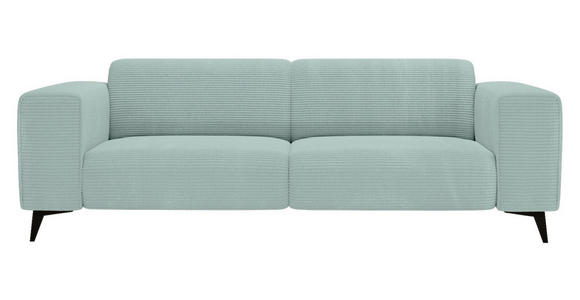 2-SITZER-SOFA Cord Salbeigrün  - Salbeigrün/Schwarz, KONVENTIONELL, Textil/Metall (207/75/104cm) - Carryhome