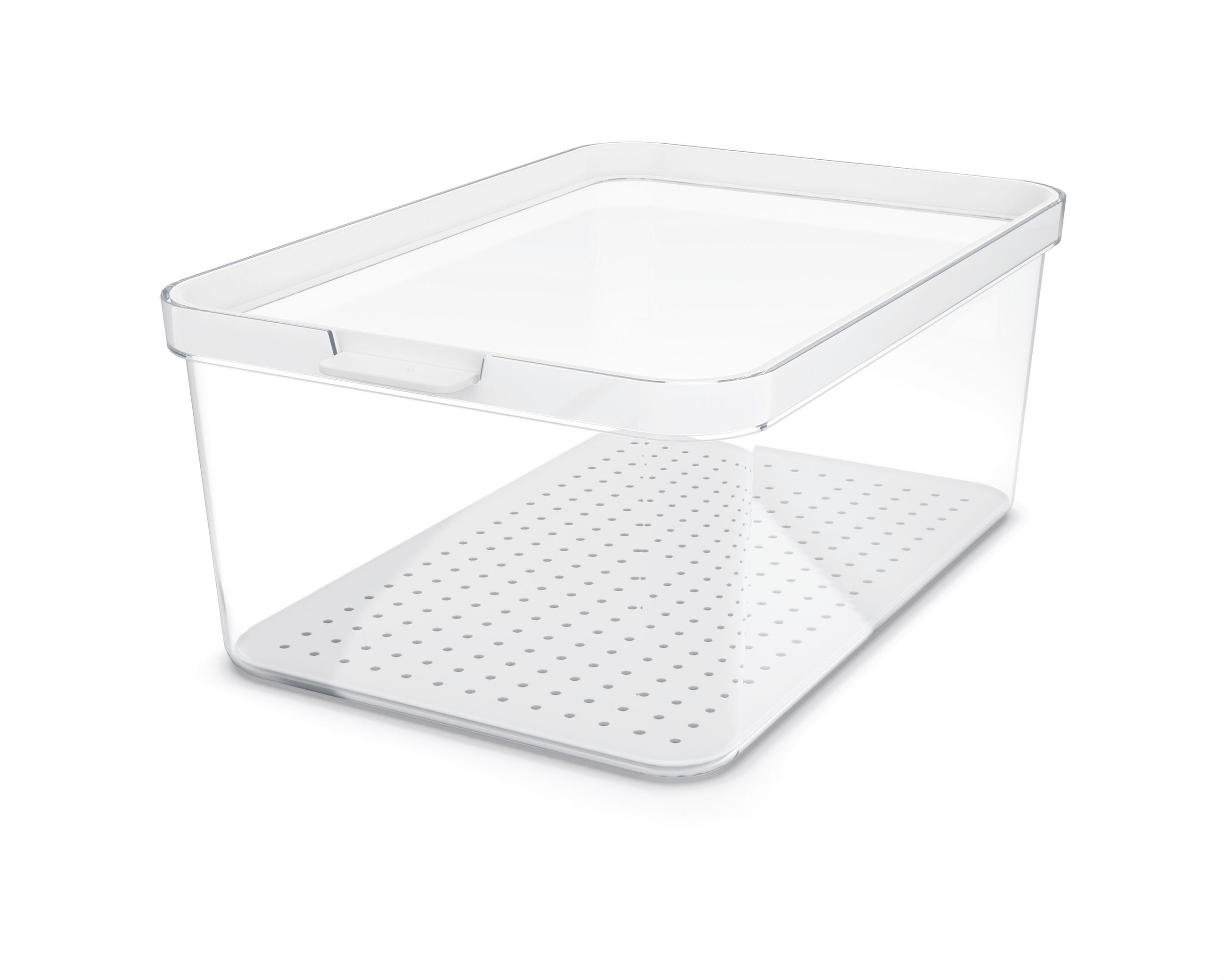 KÜHLSCHRANKBOX  - Klar/Weiß, Basics, Kunststoff (28,2/18,4/11,3cm) - Rotho