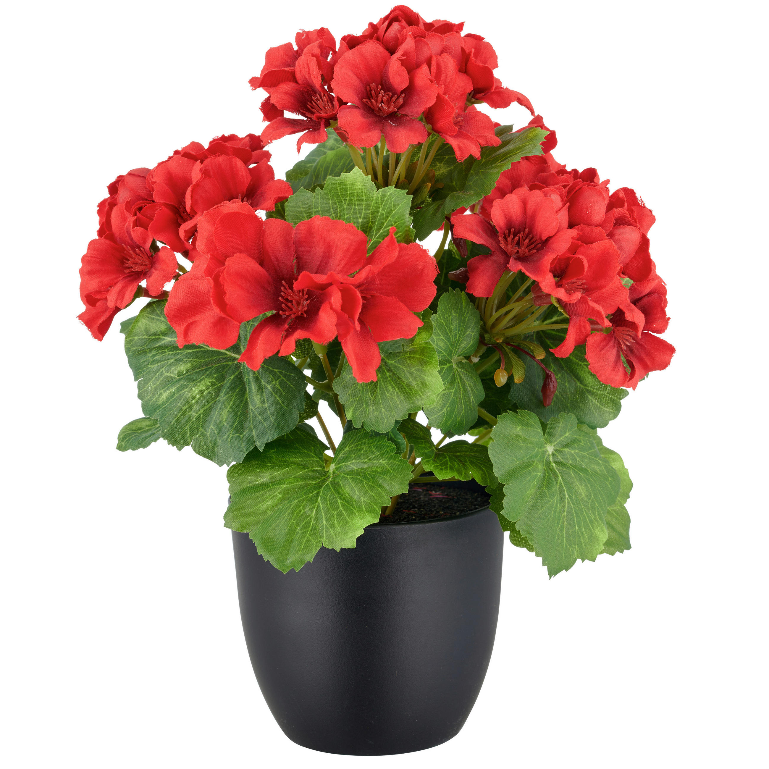 KUNSTPFLANZE Geranie  - Rot/Schwarz, Basics, Kunststoff (14/38/14cm) - P & B