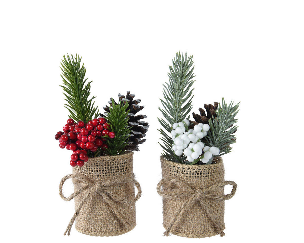 BOŽIĆNI BOR   5/15 cm     - Basics (5/15cm)