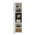 VITRINE Weiß  46,9/205,5/37,1 cm  - Schwarz/Weiß, Design, Glas/Keramik (46,9/205,5/37,1cm) - Dieter Knoll